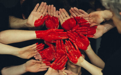 Wichtige österreichische Hilfsorganisationen