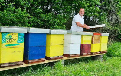 Neue Chance für Minenopfer